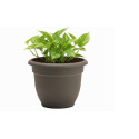 8-Inch Peppercorn Ariana Planter