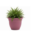 10-Inch Dusty Rose Ariana Planter