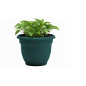 10-Inch Charleston Green Ariana Planter