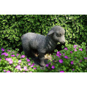 Lamb Statue In Trevia Greystone Finish