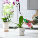 Miracle-Gro® MR3421506 