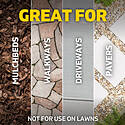 Spruce™ TOPGZEV30042 