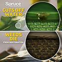 Spruce™ TOPGZEV30042 