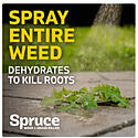 Spruce™ TOPGZEV30041 