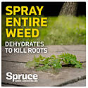 Spruce™ TOPGZEV30043 