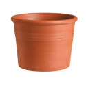 5-Inch Terracotta Clay Planter
