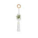 Mini Airplant Holder Macrame Plant Hanger
