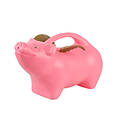 Watering Can - Flying Pig