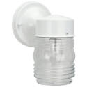 1-Light 6-Inch White And Clear Glass Outdoor Downlight