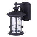 1-Light 9-3/4-Inch Black And Clear Glass Treehouse Outdoor Downlight