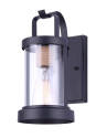 1-Light 11-1/2-Inch Matte Black And Clear Glass Delano Outdoor Downlight