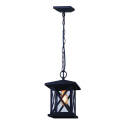 1-Light 11-3/4-Inch Black And Clear Glass Elm Outdoor Pendant Light