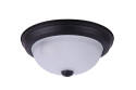 11 x 4-3/4-Inch 2-Light Matte Black Flush Mount Ceiling Light Fixture