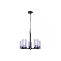 Britton Black 5-Light Chandelier Light Fixture