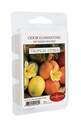 2.5-Ounce Tropical Citrus Odor Eliminating Melts