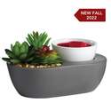 Candle Warmers CCWSCL 