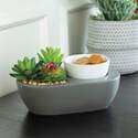 Candle Warmers CCWSCL 