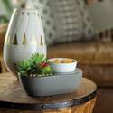 Candle Warmers CCWSCL 