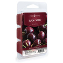 Black Cherry Fragrance Wax Melts
