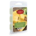 2.5-Ounce Pineapple Cilantro Wax Melt