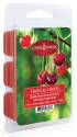  2.5-Oz Tropical Cherry Wax Melts
