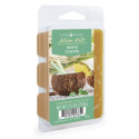 2.5-Ounce Island Colada Wax Melt
