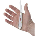 CASE 60186 