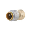 1-Inch Push-to-Connect X 1-Inch FNPT Adapter