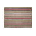 Meadow Stripe Picnic Blanket