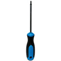 Screwdriver, T25 Star Drive, 4 in. L