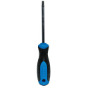 Screwdriver, T30 Drive, Star Drive, 4 in. L