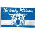 3 X 5-Foot Kentucky Wildcats Official NCAA Flag