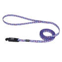 5/16-Inch X 6-Foot Lil' Pals Dog Leash, Light Blue Paws