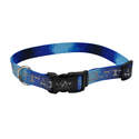 3/8 x 8-12-Inch LazerBrite Blue Bones Reflective Dog Collar
