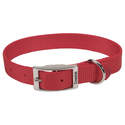 1 x 18-Inch Red Single-Ply Dog Collar