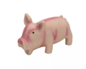 Pig Grunt Dog Toy