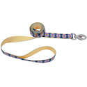 1-Inch X 6-Foot Sublime Aztec Yellow Chevron Dog Leash