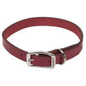 1 x 24-Inch Circle T Red Oak Tanned Leather Town Dog Collar