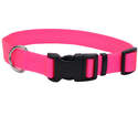 5/8 x 10-14-Inch Hot Pink Adjustable Dog Collar
