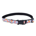 5/8 x 8-12-Inch Authorized Dealer Exclusive Styles Dog Collar, Dinosaurs