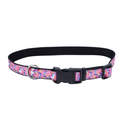 1 x 18-26-Inch Authorized Dealer Exclusive Styles Dog Collar, Unicorns