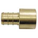 1/2-Inch Brass Pipe Adapter, Pex X Female Solder
