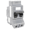 100-Amp 2-Poles Bolt-On Thick Federal Pacific Breaker