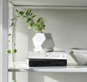 5-Inch Ivory Acacia Planter With Saucer