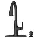 Matte Black Maven® Pull-Down Kitchen Faucet