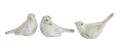 White Distressed Resin Bird, Each, Assorted Styles