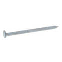 1-Pound 1-1/4-Inch White Stainless Steel Trim Nails