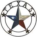 24-Inch Metal Texas License Plate