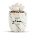 3-Inch X 3-Inch X 4-1/2-Inch Earthenware And Stone, Succulent Oil Diffuser, "You Grow Girl"