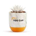 3-Inch X 3-Inch X 4-1/2-Inch Earthenware And Stone, Succulent Oil Diffuser, "Yes, You Can"